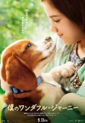 澳门金沙网站《一条狗的使命2》曝日本海报 少女CJ和狗狗对视